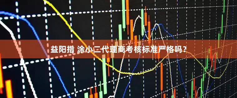 益阳指 涂小二代理商考核标准严格吗？